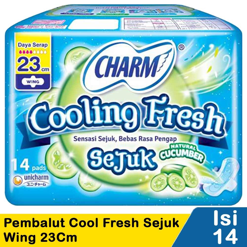 CHARM PEMBALUT COOL.FRESH SEJUK 14'S WING 23cm
