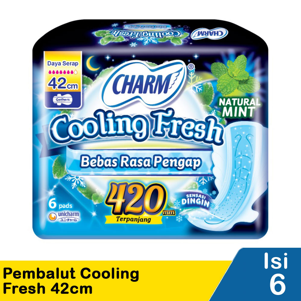 CHARM PEMBALUT COOLING FRESH 6'S 42cm