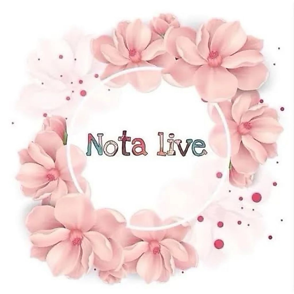 NOTA LIVE 2 KG