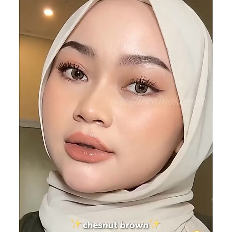 Softlens miracle chesnut&pine Normal&Minus 14.2mm