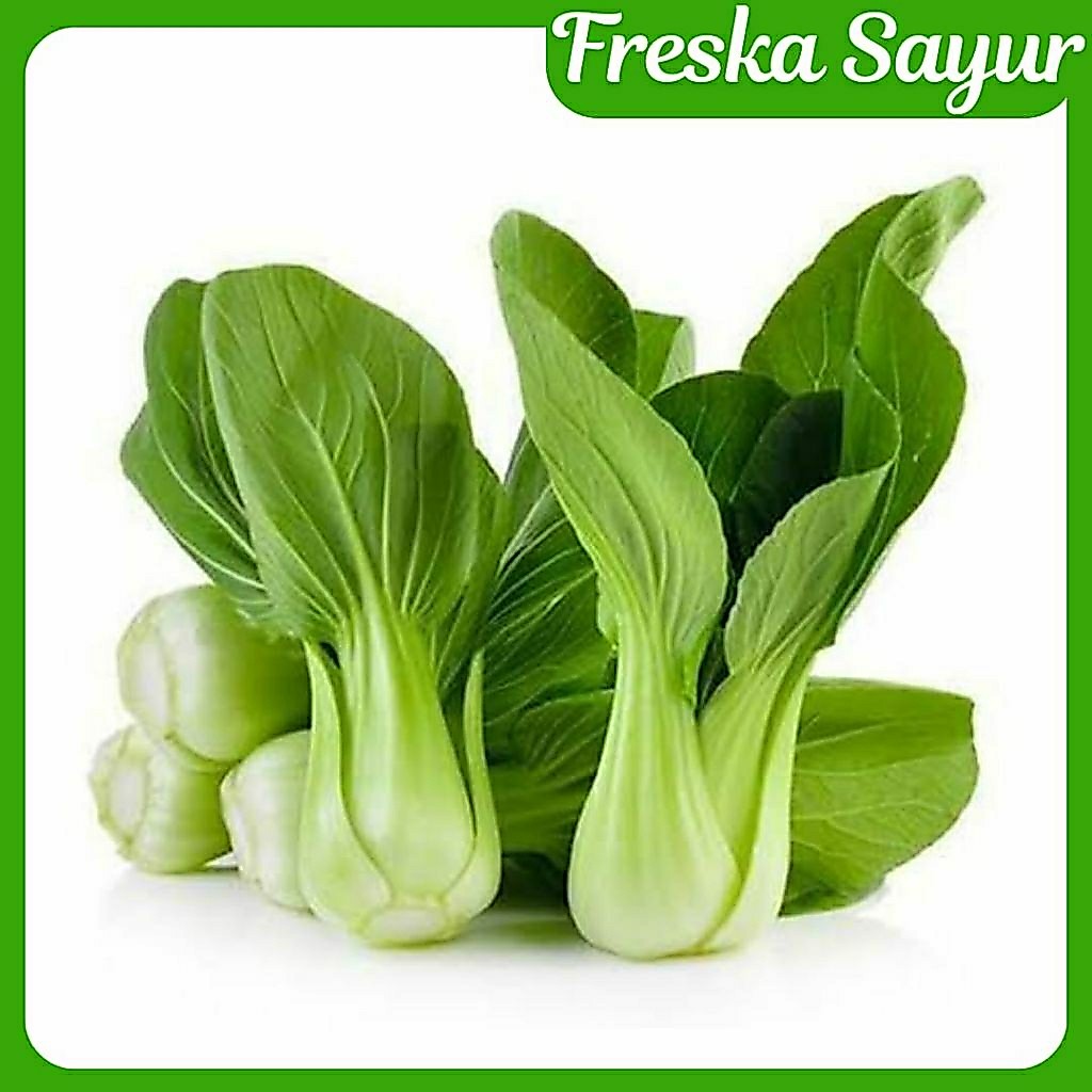 SERBA 5.000 | Sawi Pakcoy | Pak Choy
