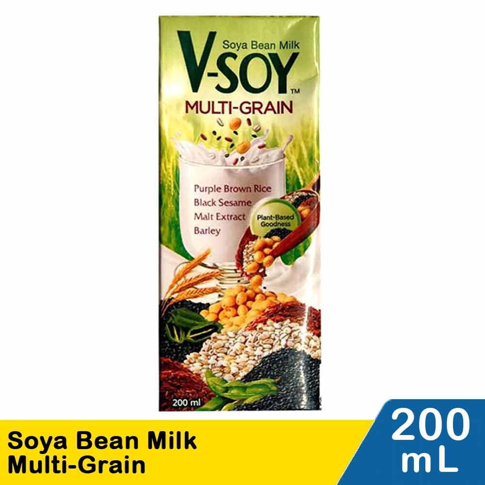 V-SOY SOYA BEAN MILK MULTI-GRAIN  200mL