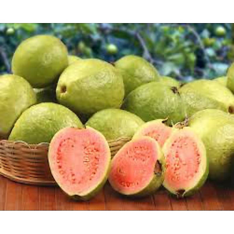 Jambu Merah 1kg Fresh