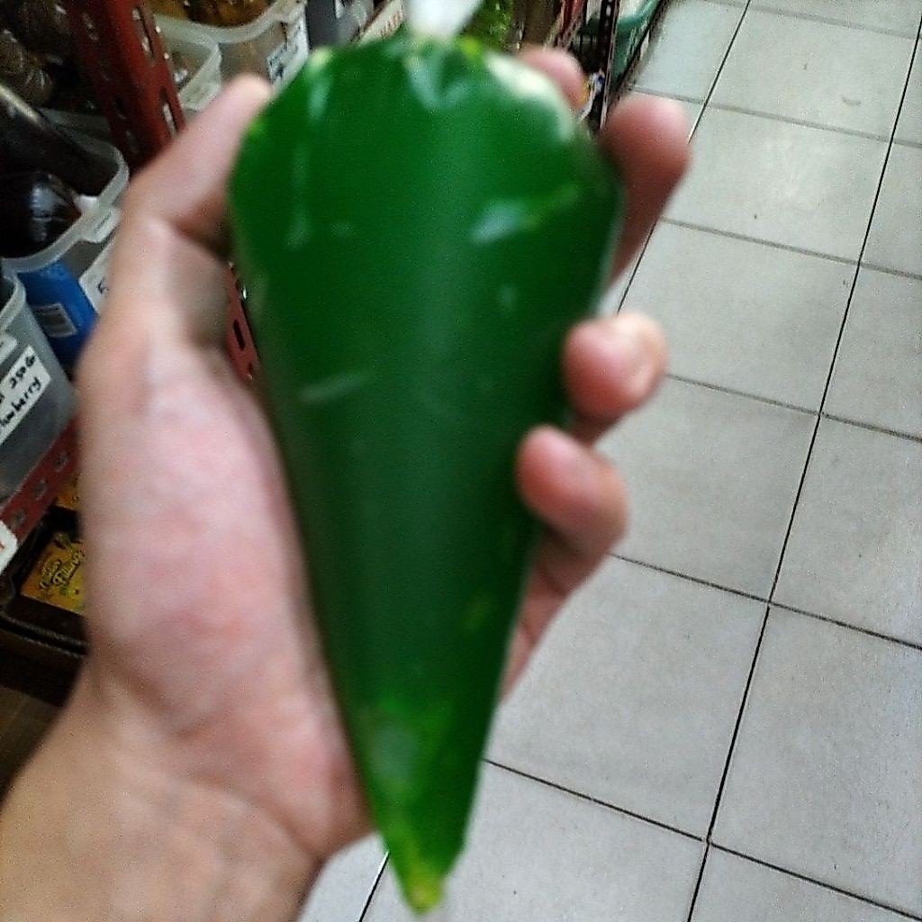 selai melon 250 gram