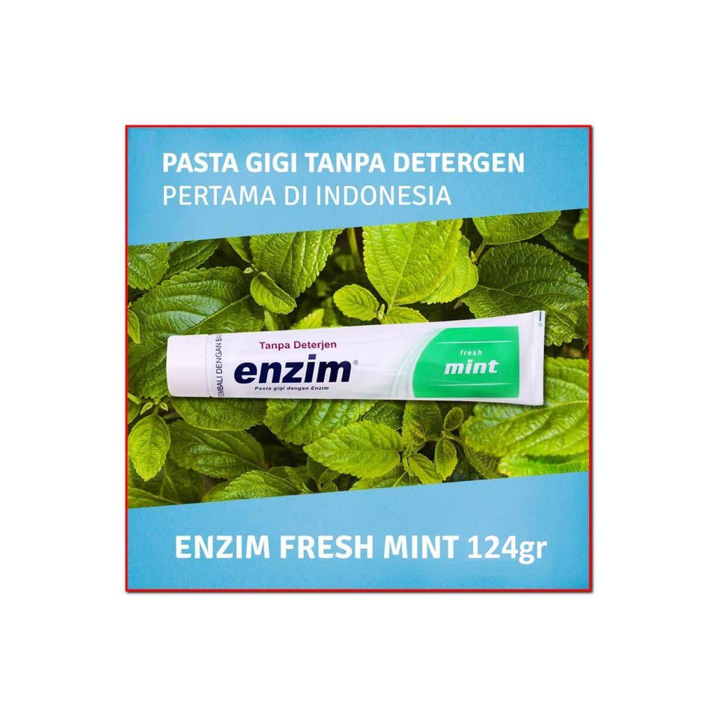 ENZIM PASTA GIGI FRESH MINT 124g