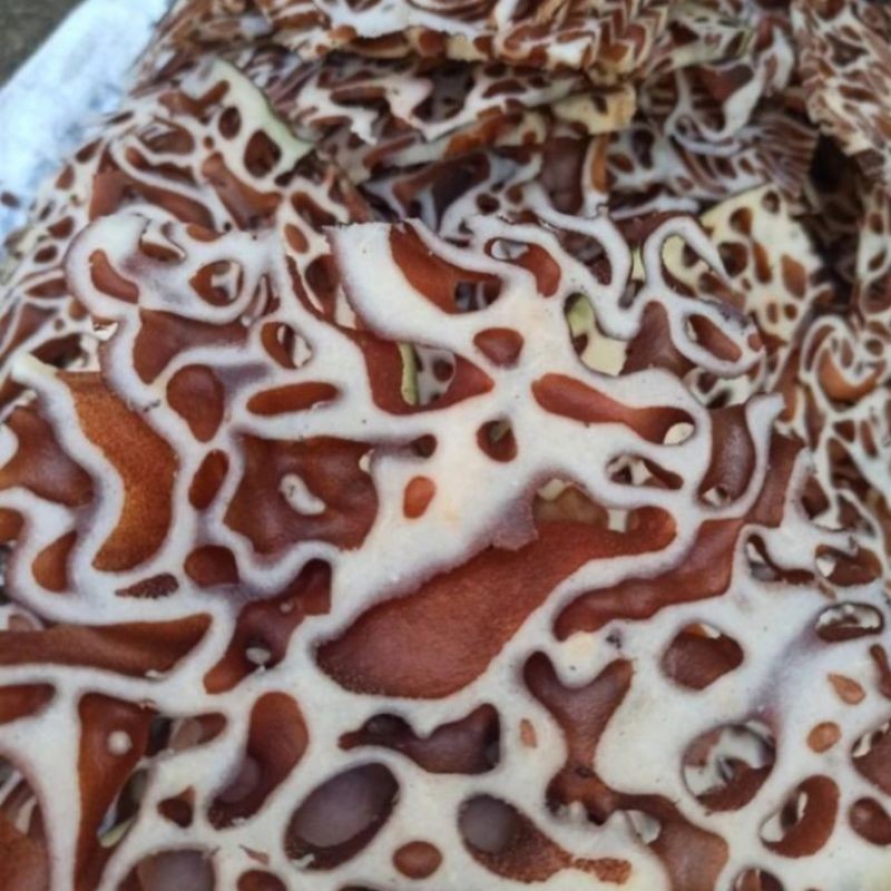 COD Sarang Semut Papua Asli 500 gram