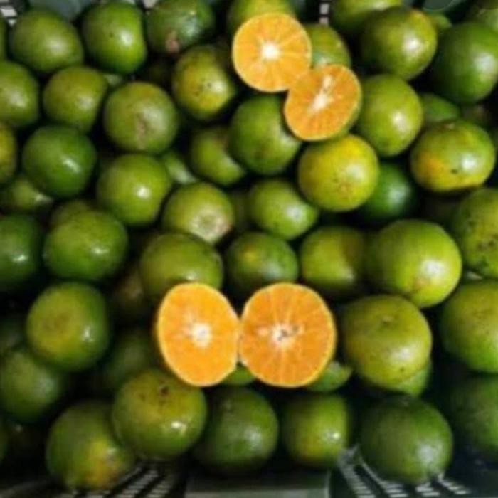 Jeruk Peras 1 kg