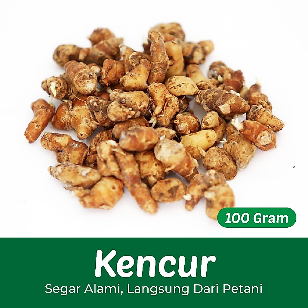 Kencur 100 Gram