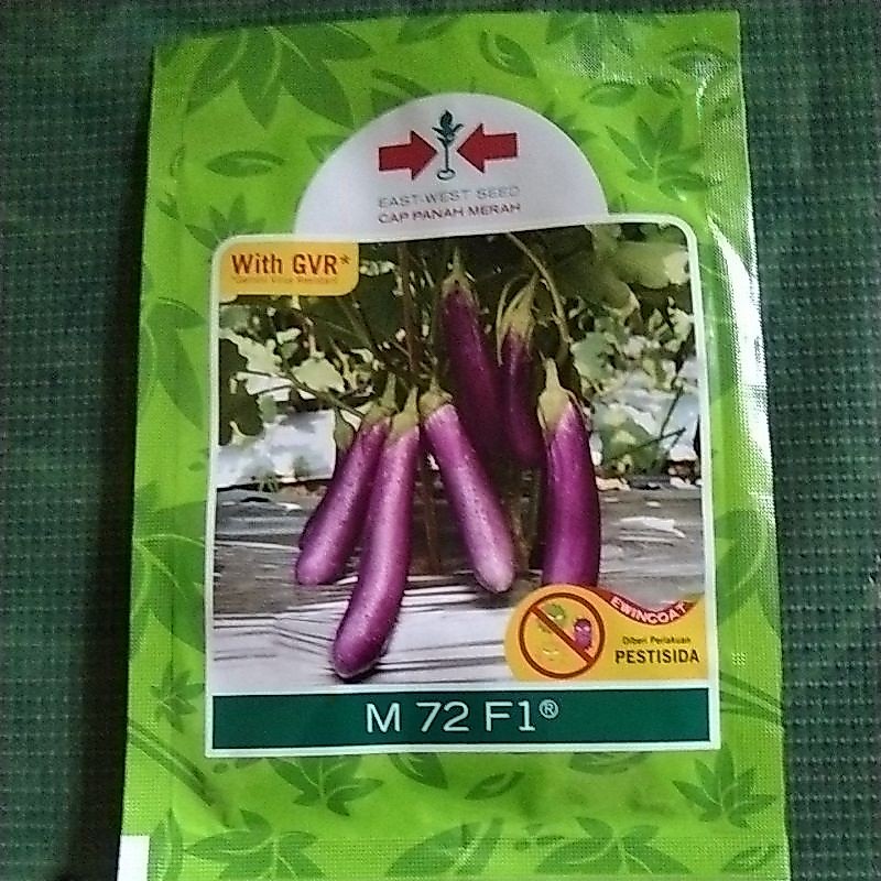 terong ungu M72