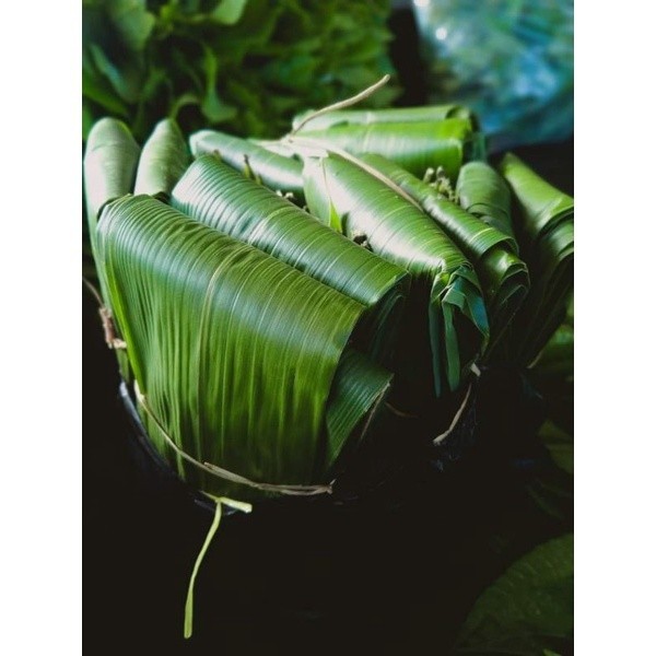 Berkah DAUN BAMBU MUDA Gacor