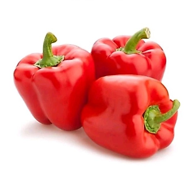 Paprika Merah || 1 Pcs
