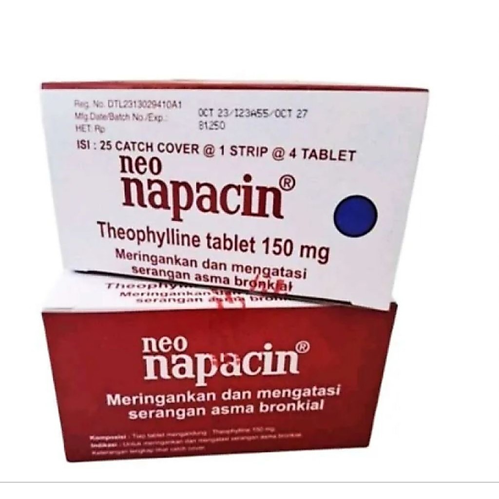 NAPACIN BOX ISI 100 TABLET