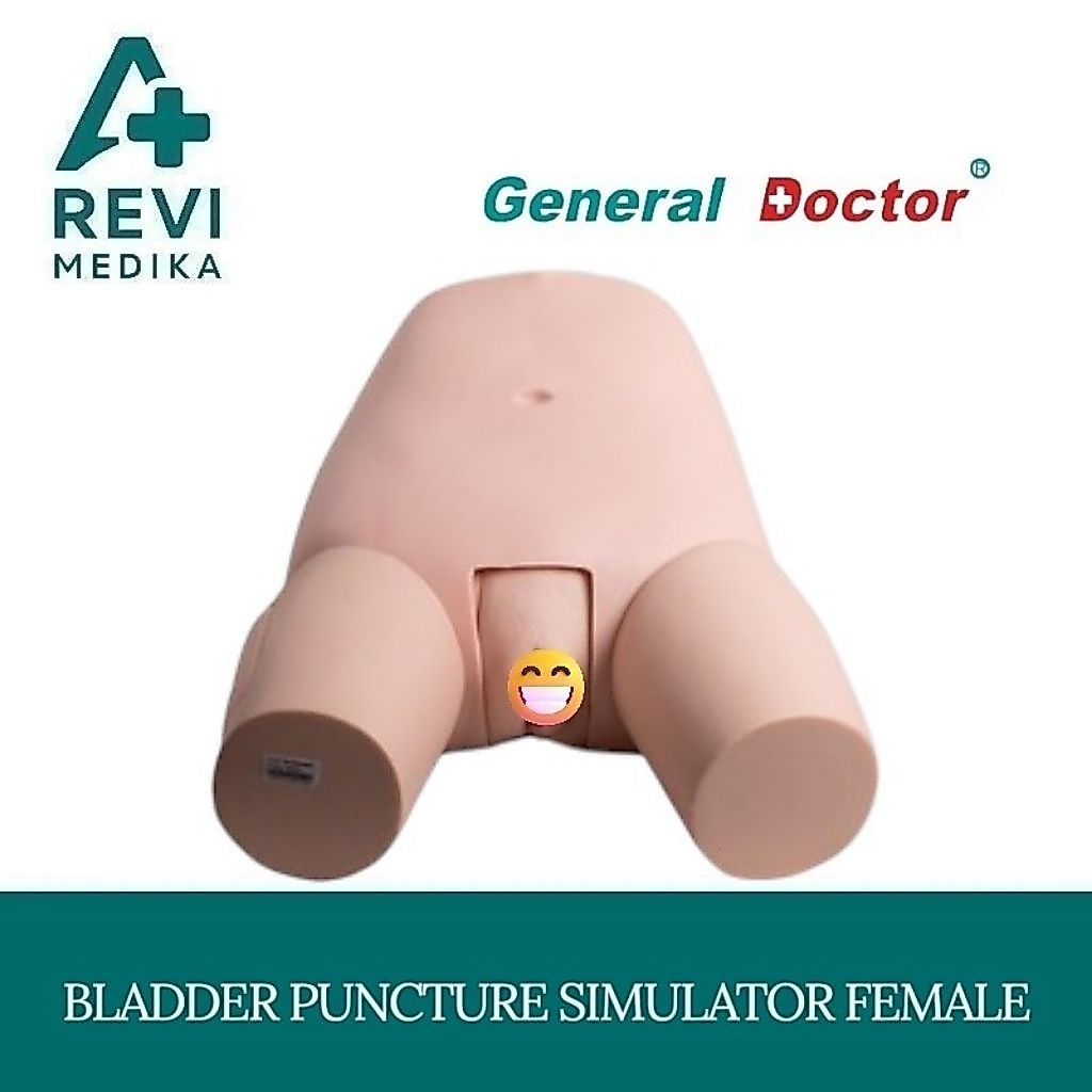 Bladder Puncture Simulator (Female) GD-H29F