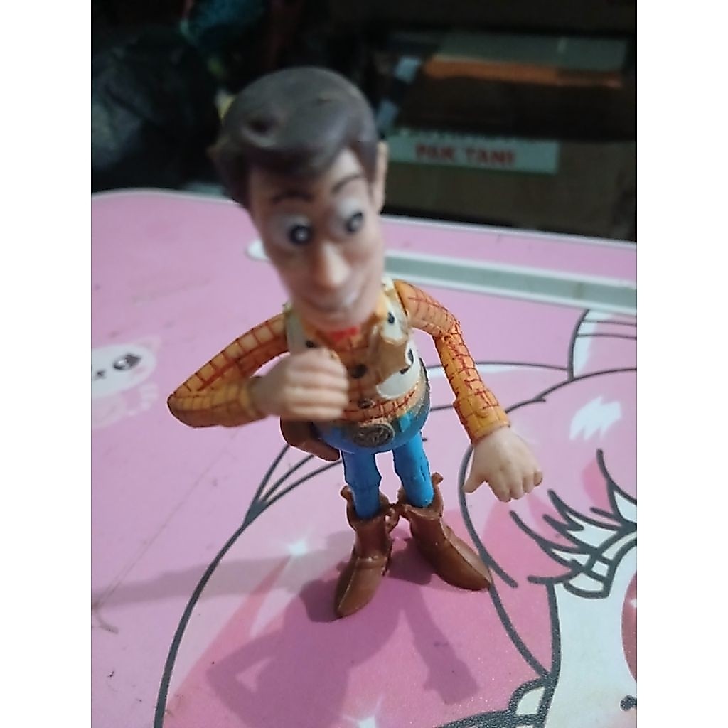 Figure woodi