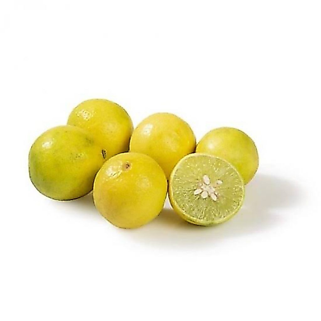 Lemon Lokal 500gr