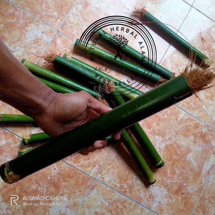 COD obor bambu + sumbu termurah - 40-55