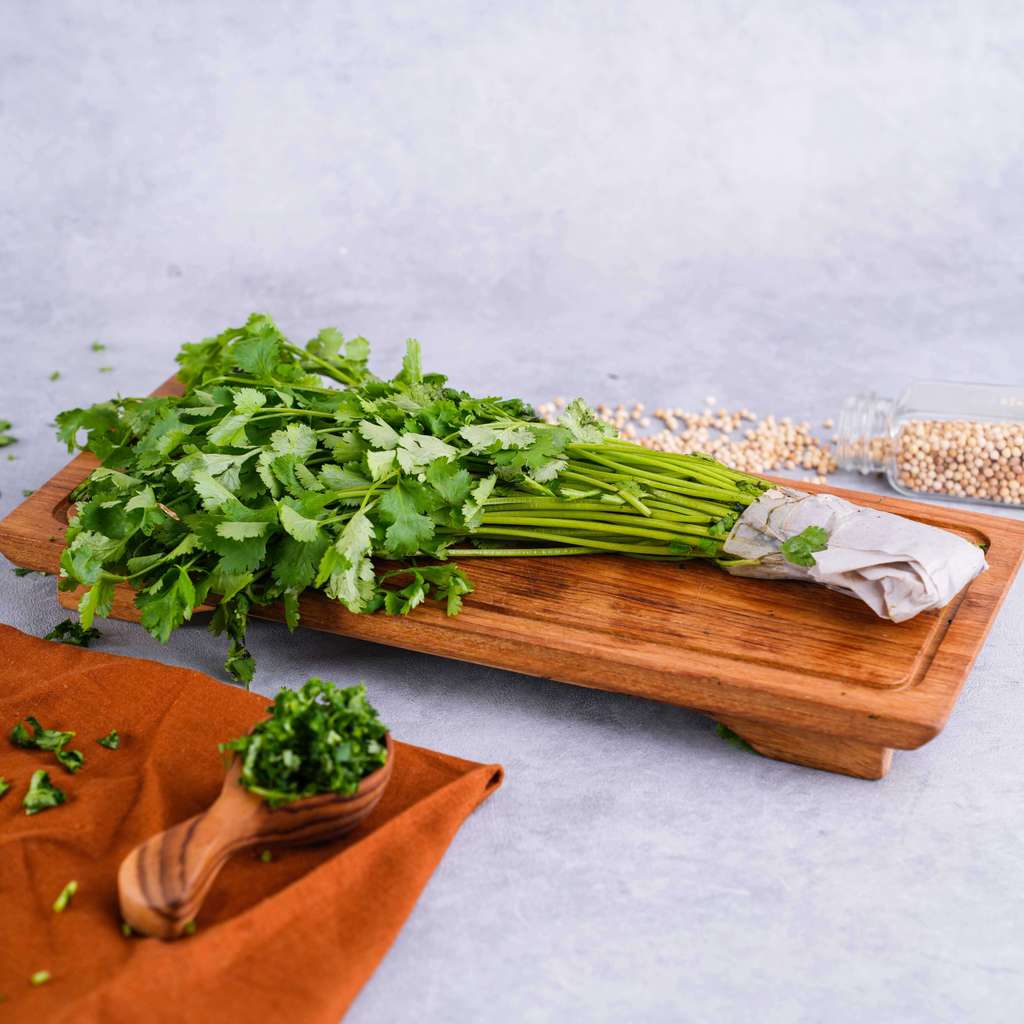 Daun Ketumbar  (90 - 100 gram / pack)