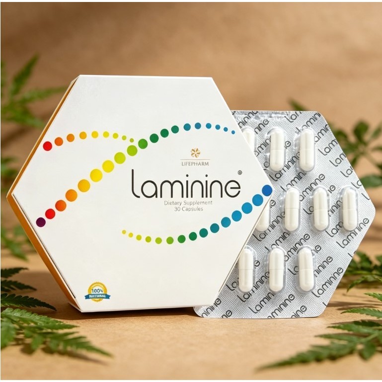 LAMININE stemcell isi 30 kapsul