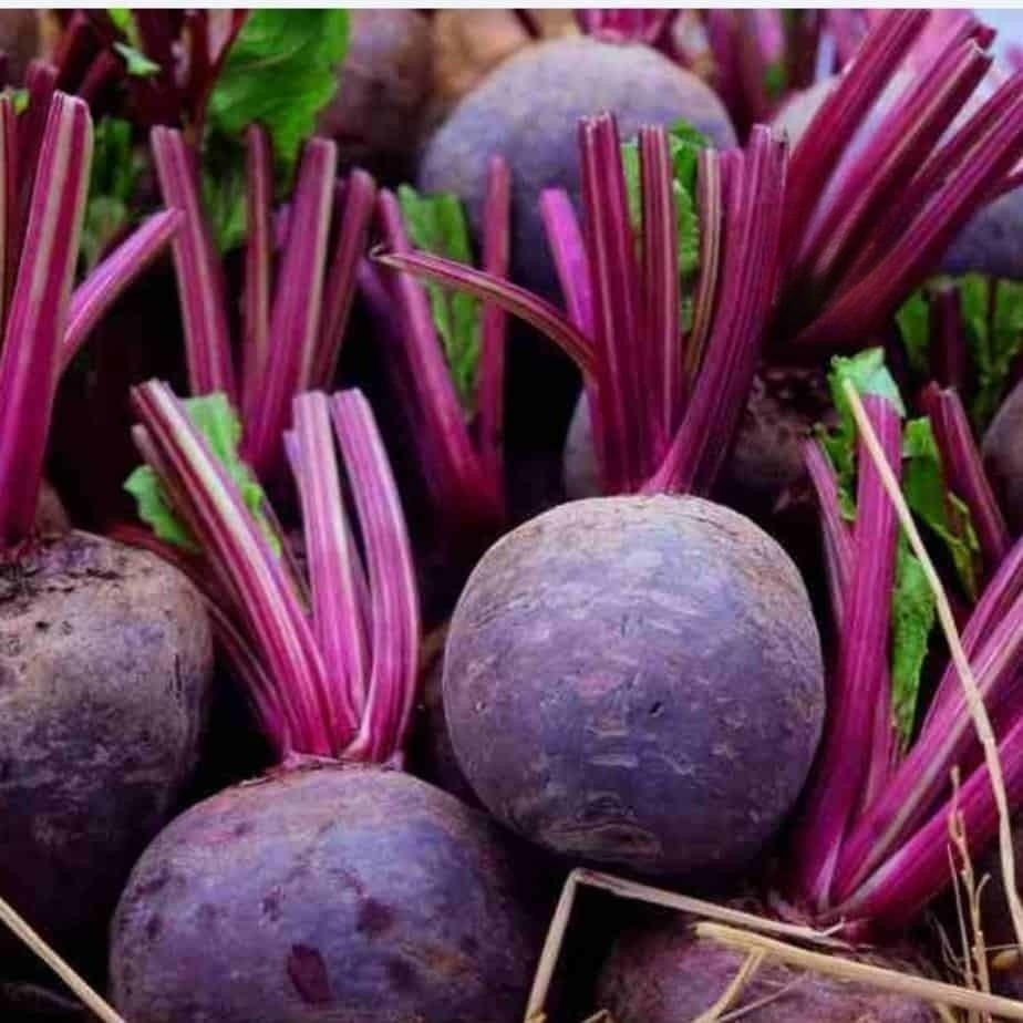 Buah Bit / Beet Root Fresh 1Kg