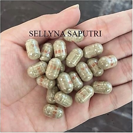 Pt sinar kaliman sehat KAPSUMA