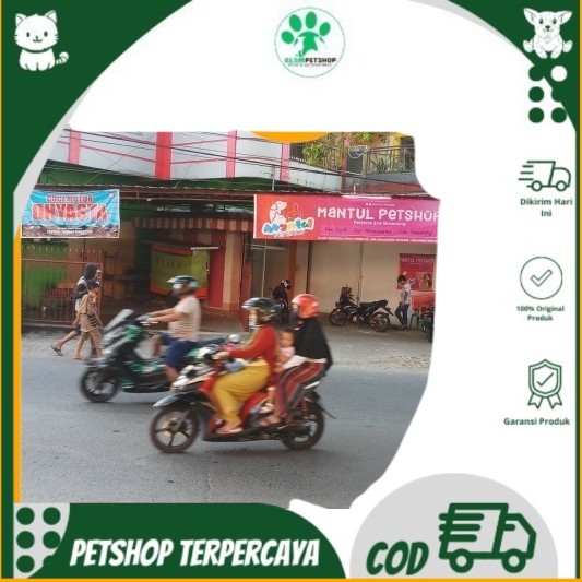 Baju Kucing/Anjing|AKSESORIS (BAJU)