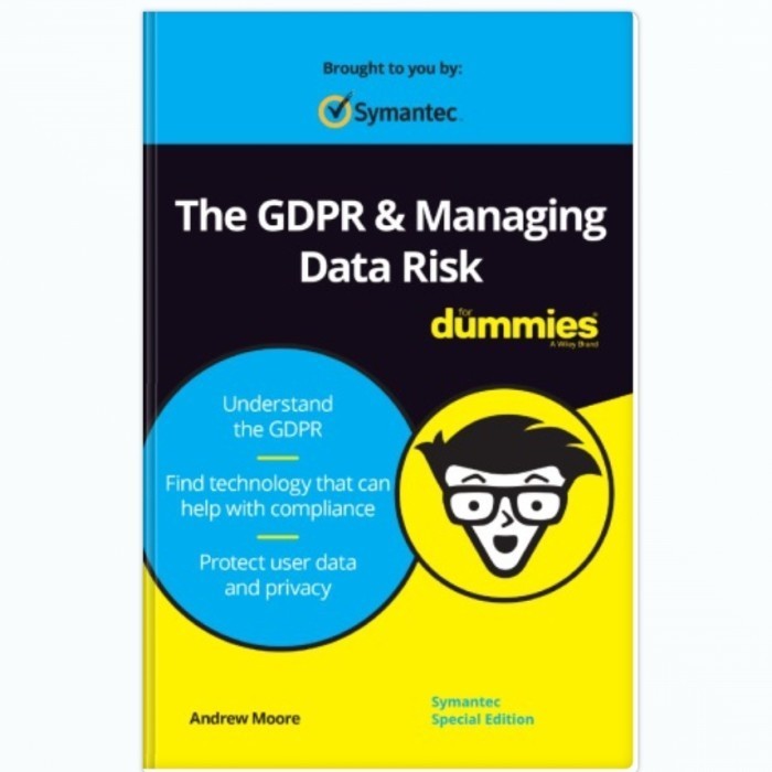 Buku The GDPR & Managing Data Risk