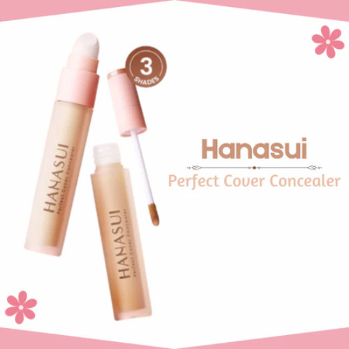 Hanasui Perfect Cover Concealer 4,5g