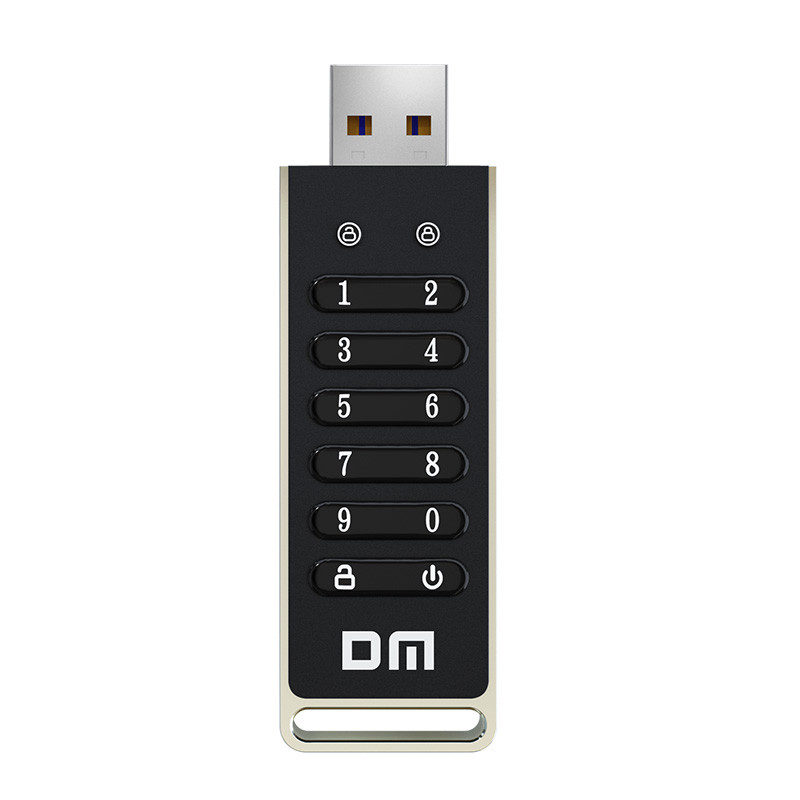 DM FD063 256bit Encrypted USB Drive Password Secure Flash Drive USB32 U sk Support ResetWipeAuto Lock Function
