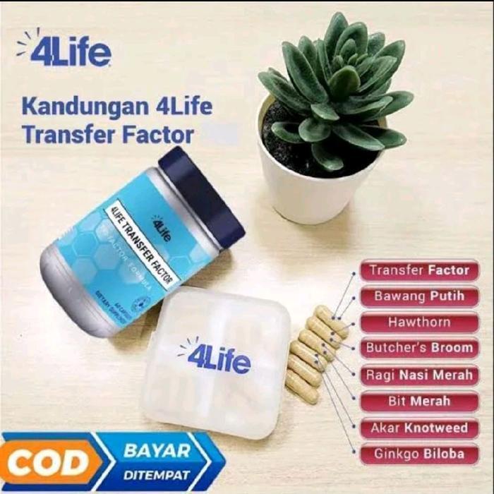 Ready ‎4Life Transfer Factor Original Isi 60 Kapsul
