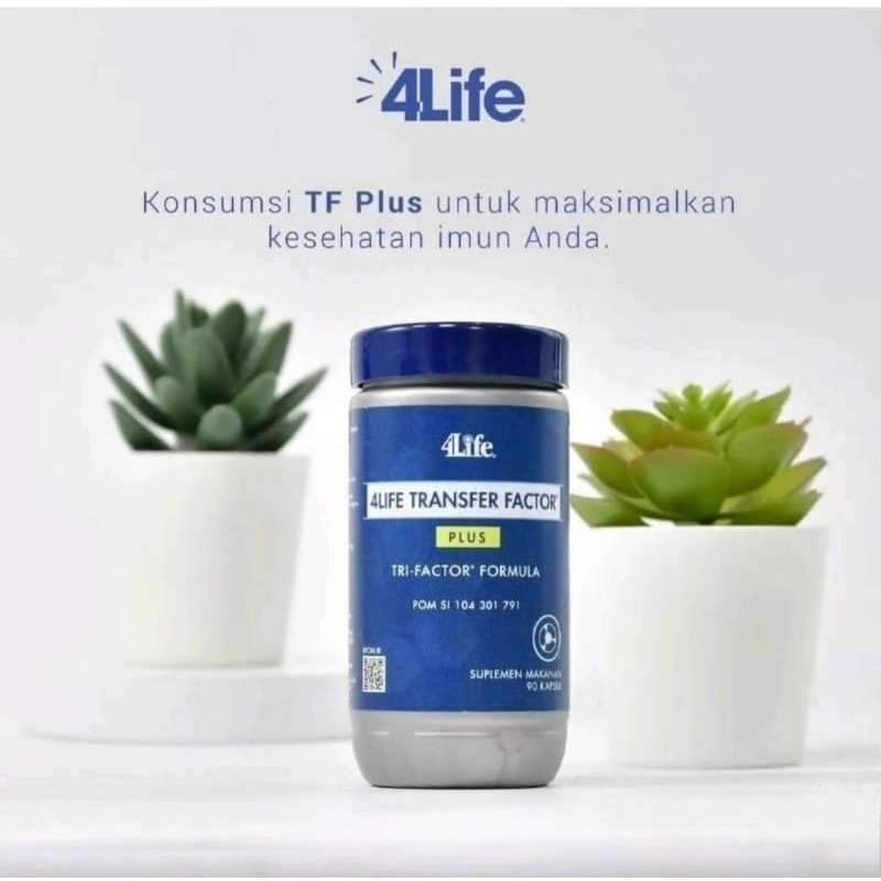 4Life Transfer Factor Plus Original GRATIS ONGKIR