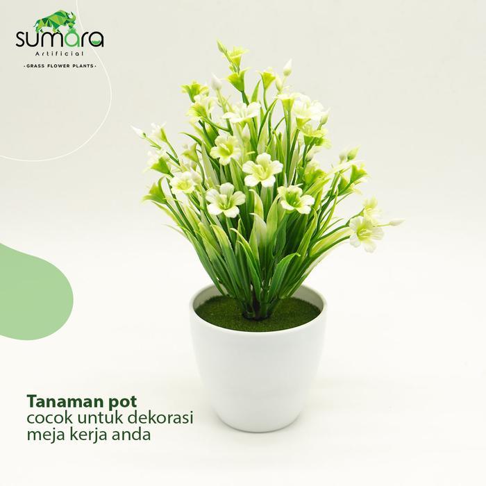 [] Bunga Sintetis / Bunga Sintetis Oenothera