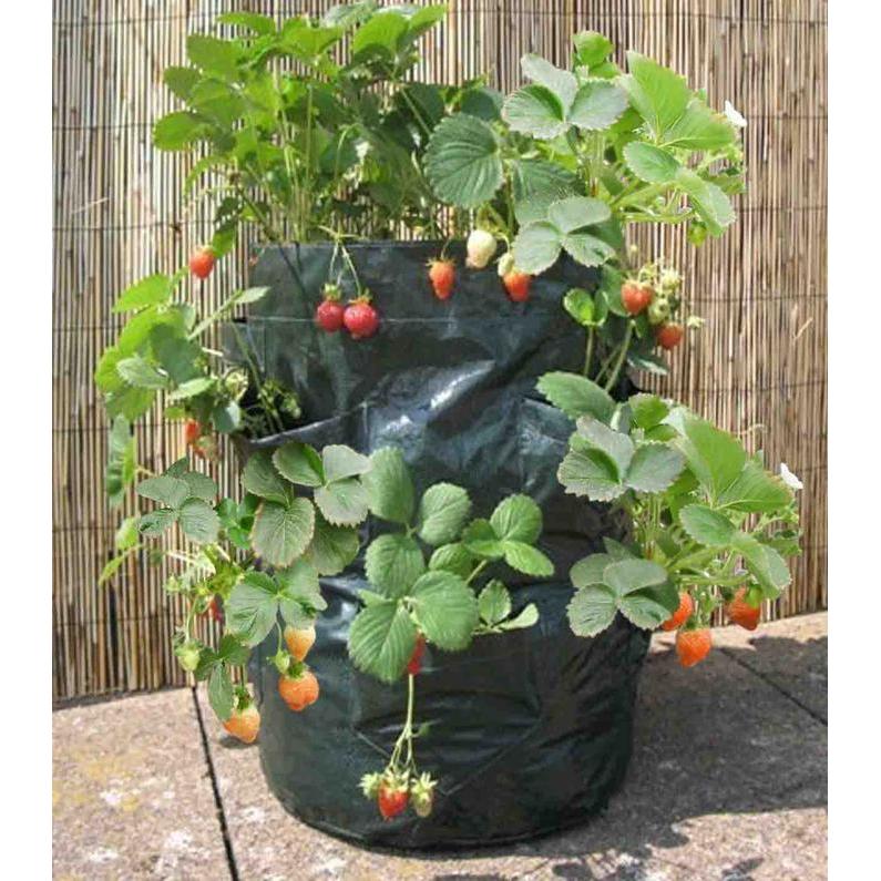 Strawberry Planter 8 Pocket