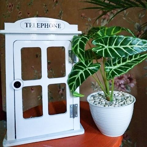 Box Meteran Listrik Token Tlpn
