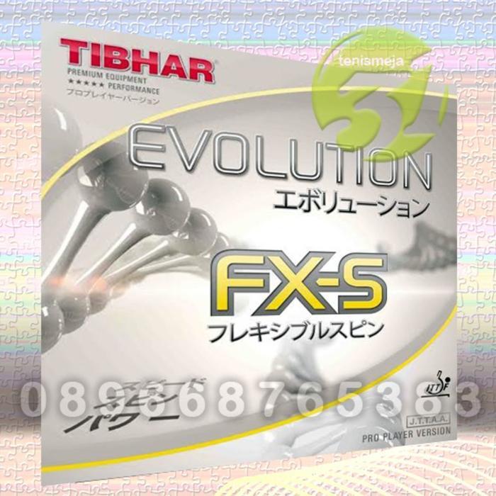 TERMURAH Tibhar Evolution FX-S READY STOCK