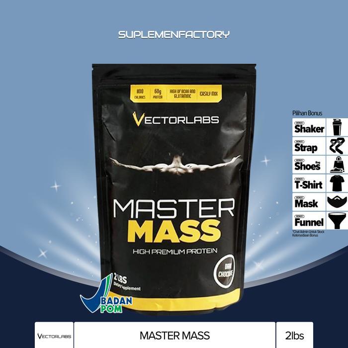 VectorLabs Master Mass 2 Lbs 2lbs Gainer Protein