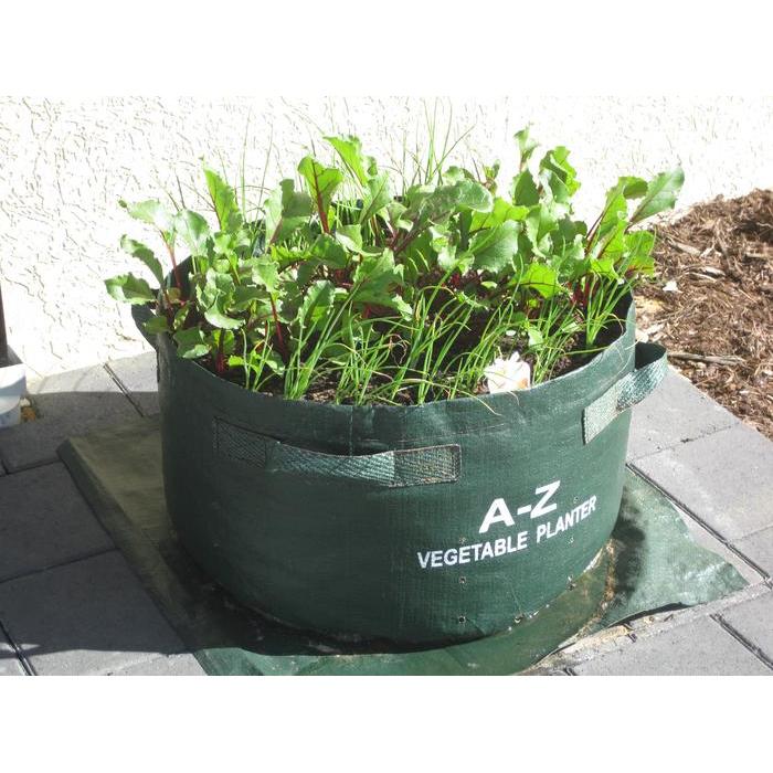 SALE ! Vegetable Planter Large ORIGINAL