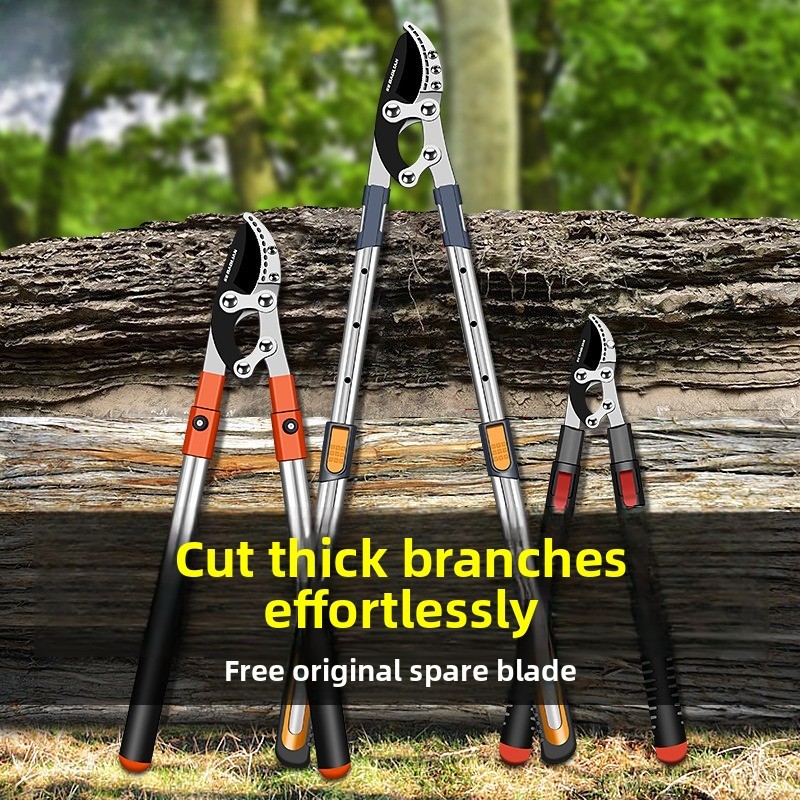 Fruit Tree Pruning Branches Pruning Branches Garden Large Strong Pruning Branches Strong Thick