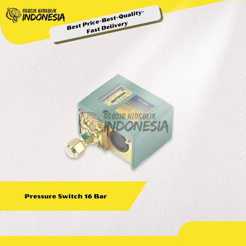 Pressure Switch / Pressure Control 16 Bar