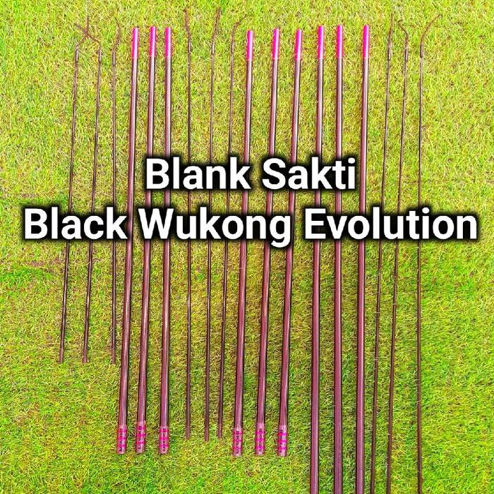 Blank Sakti Black Wukong Evolution