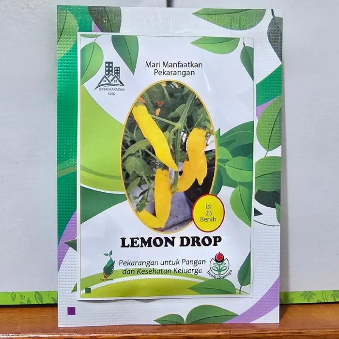Benih Cabai Unik LEMON DROP