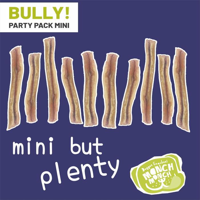 Monch Monch - Bully Party Pack Mini