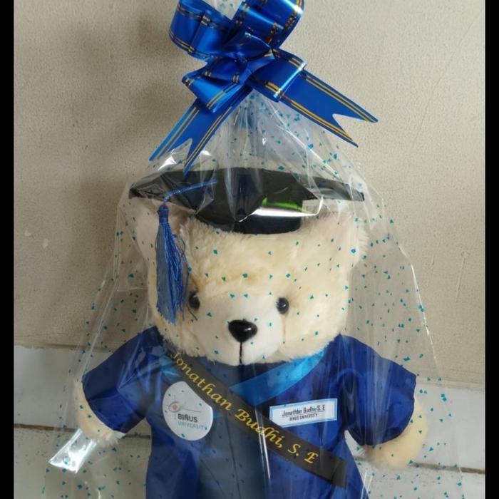 Boneka Wisuda Binus 30Cm Terbaru !!!
