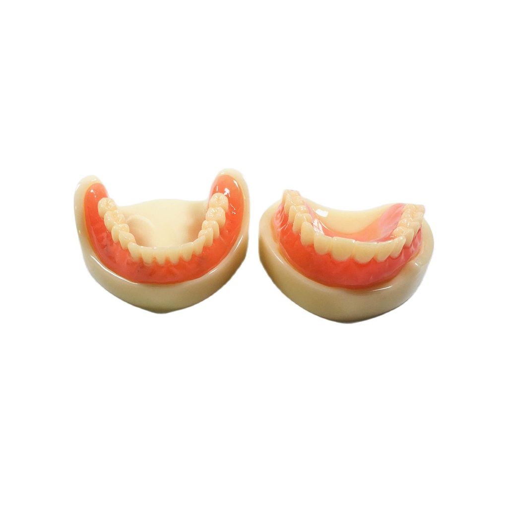 Dental Full Denture Model  Magnetic Attachment Mandibular Upper/Lower