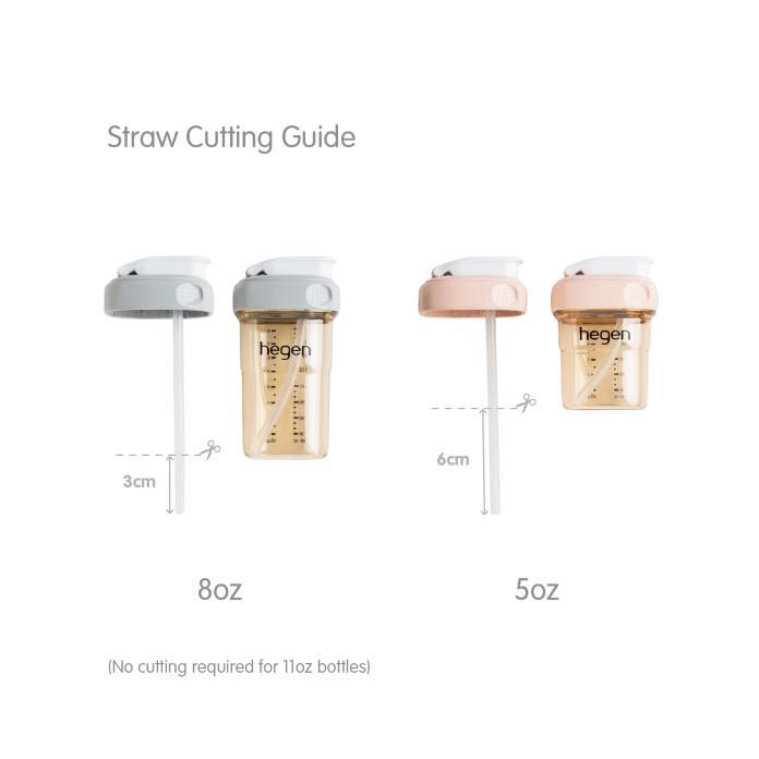 Hegen Straw Replacement Set (2-pa)