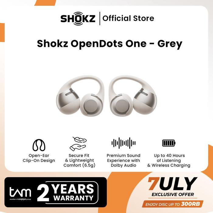 Shokz OpenDots One - Grey