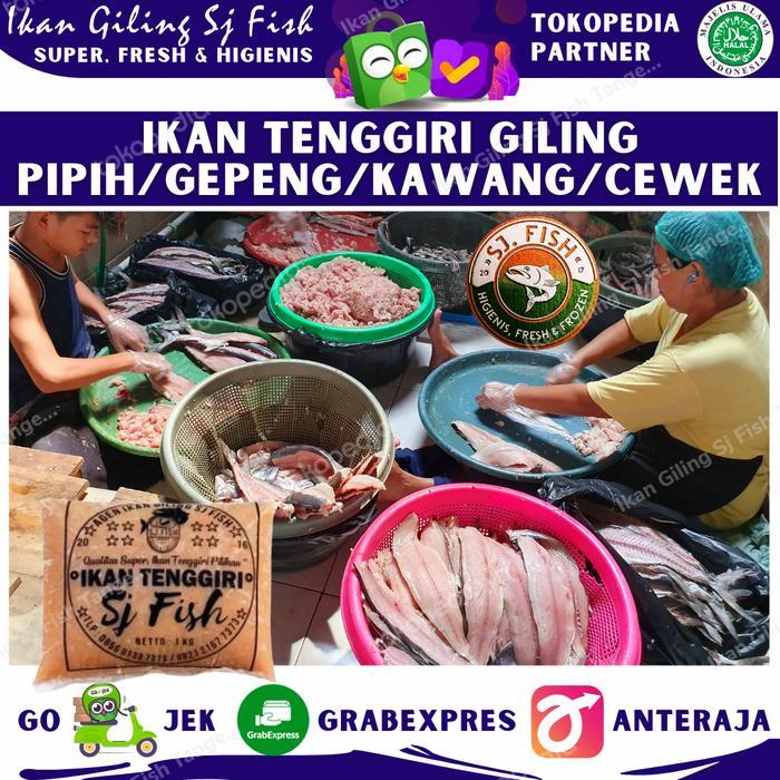 Ikan Tenggiri