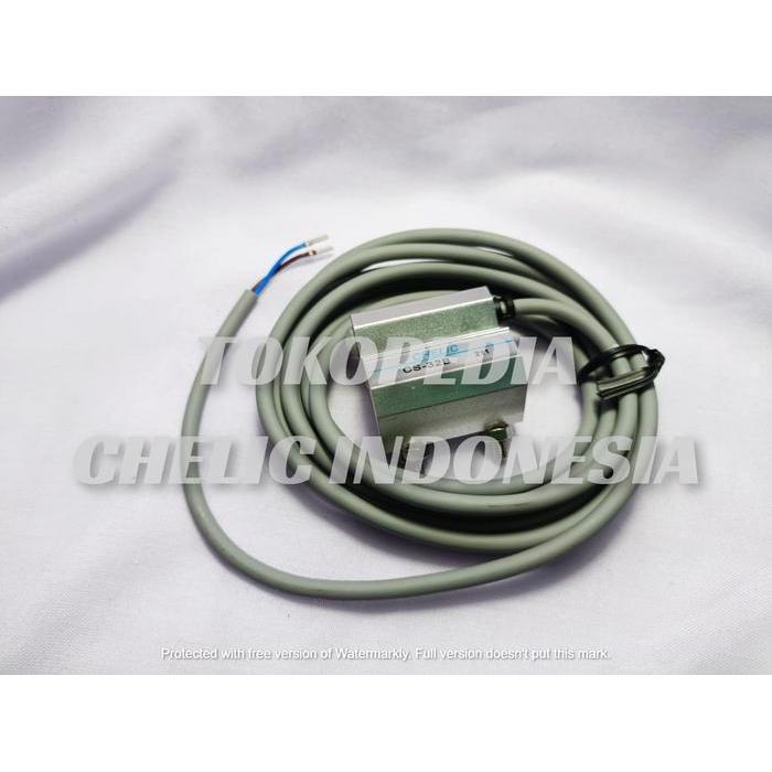 Reed Switch Sensor Magnetic Original Chelic Cs-32B Terbaru !!!