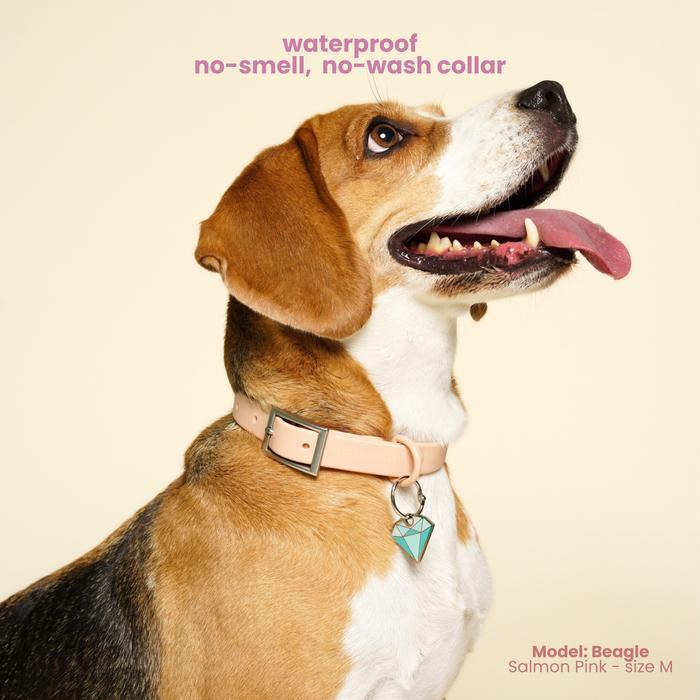 Furrentials Collar - Gipawnchy Pets Original