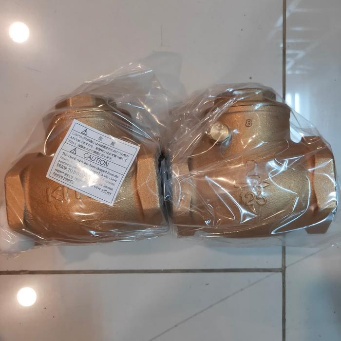 Check Valve Kitz 2 Inch