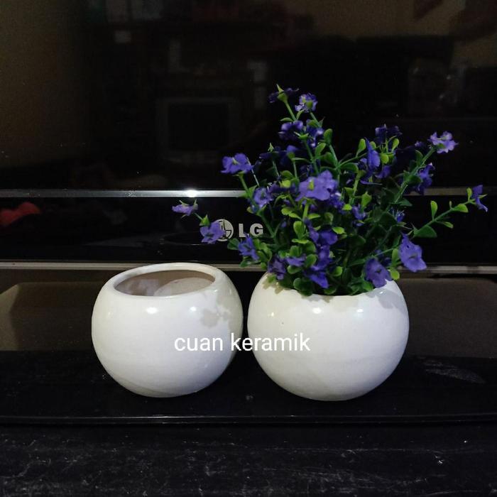 Pot/vas bonsai kaktus putih